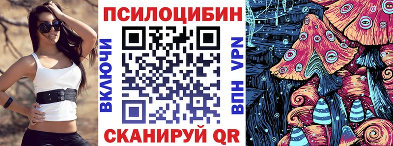 цена   Шиханы  Псилоцибиновые грибы Magic Shrooms 